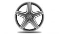 Alloy Wheel, AMG (19" 5-spoke)